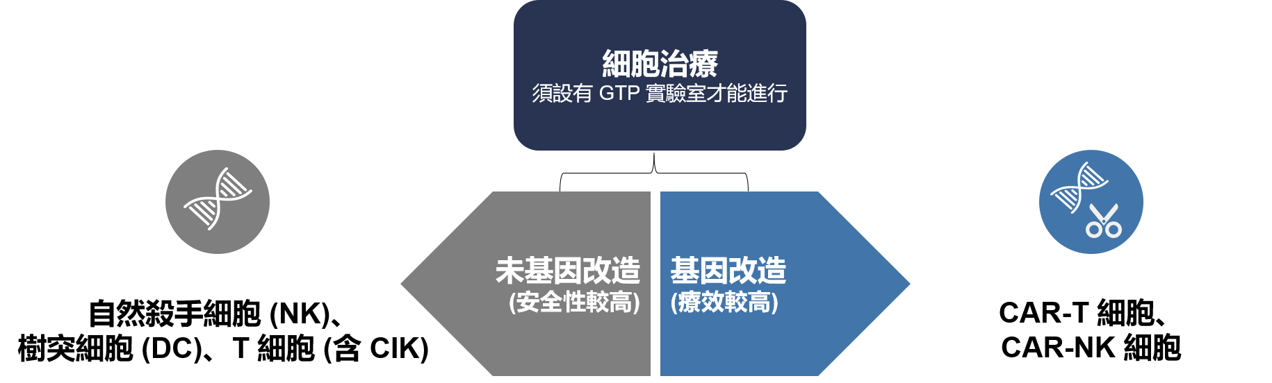 免疫細胞療法可再分為兩大類